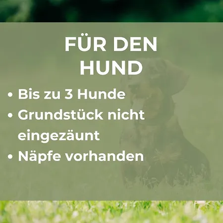 Schroeder | | Hunde Willkommen | 9 Personen * Лосбург